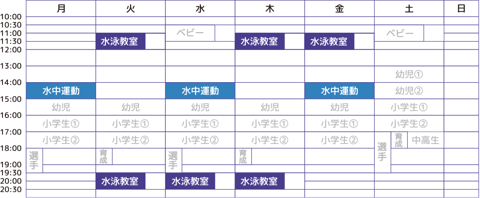 大人コースの日程の表