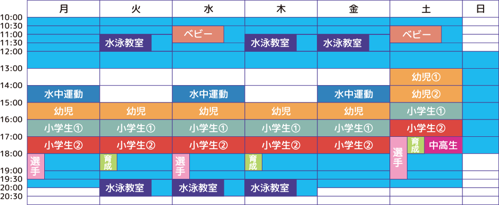 体験可能日の表